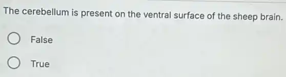The cerebellum is present on the ventral surface of the sheep brain.
False
True