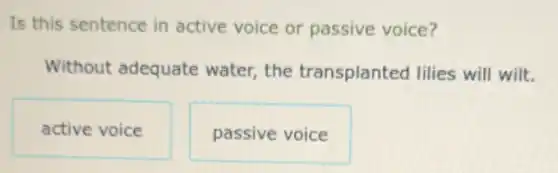 Is this sentence in active voice or passive voice?
Without adequate water, the transplanted lilies will wilt.
active voice
passive voice