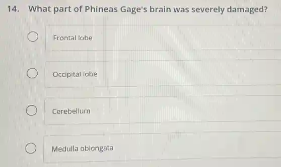 14. What part of Phineas Gage's brain was severely damaged?
Frontal lobe
Occipital lobe
Cerebellum
Medulla oblongata
