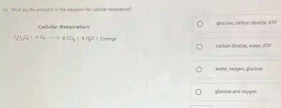 16. What are the products in the equation for cellular respiration?
Cellular Respiration
C_(6)H_(12)O_(6)+6O_(2)arrow 6CO_(2)+6H_(2)O+Energy
glucose, carbon dioxide, ATP
carbon dioxide, water, ATP
water, oxygen, glucose
glucose and oxygen