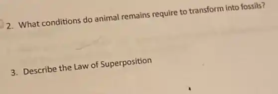 2. What conditions do animal remains require to transform into fossils?
3. Describe the Law of Superposition