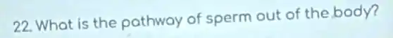 22. What is the pathway of sperm out of the body?
