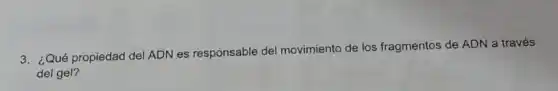 3. ¿Qué propiedad del ADN es responsable del movimiento de los fragmentos de ADN a través
del gel?