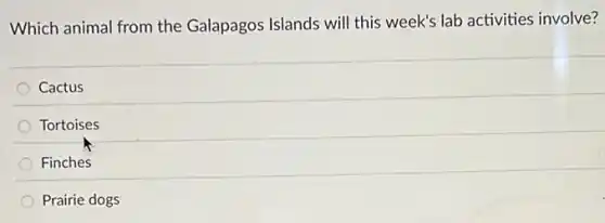 Which animal from the Galapagos Islands will this week's lab activities involve?
Cactus
Tortoises
Finches
Prairie dogs