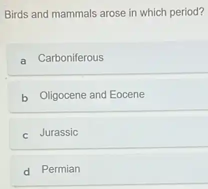 Birds and mammals arose in which period?
a Carboniferous
b Oligocene and Eocene
c Jurassic
d Permian