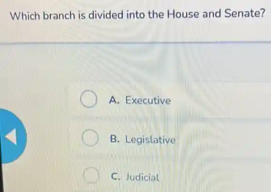 Which branch is divided into the House and Senate?
A. Executive
B. Legislative
C. Judicial