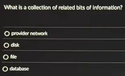 What is a collection of related bits of information?
provider network
disk
file
database