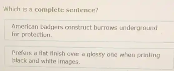Which is a complete sentence?
American badgers construct burrows underground
for protection.
Prefers a flat finish over a glossy one when printing
black and white images.