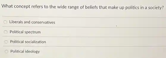 What concept refers to the wide range of beliefs that make up politics in a society?
Liberals and conservatives
Political spectrum
Political socialization
Political ideology