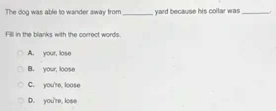 The dog was able to wander away from __ yard because his collar was __
Fill in the blanks with the correct words.
A. your, lose
B. your, loose
C. you're, loose
D. you're, lose