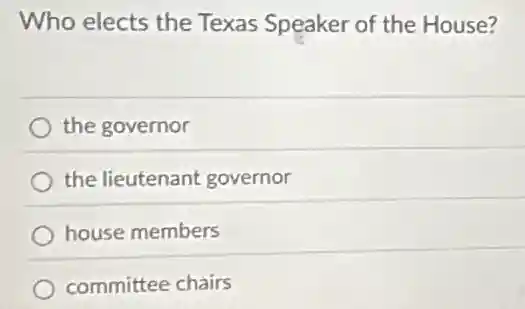 Who elects the Texas Speaker of the House?
the governor
the lieutenant governor
house members
committee chairs