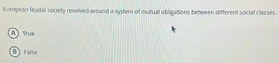European feudal society revolved around a system of mutual obligations between different social classes.
A True
B False