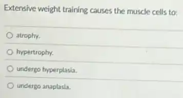 Extensive weight training causes the muscle cells to:
atrophy.
hypertrophy.
undergo hyperplasia.
undergo anaplasia.