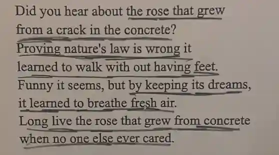 Did you hear about the rose that grew
from a crack in the concrete?
Proving nature's law is wrong it
learned to walk with out having feet.
Funny it seems, but by keeping its dreams,
it learned to breathe fresh air.
Long live the rose that grew from concrete
when no one else ever cared.