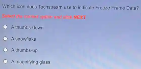 Which icon does Techstream use to indicate Freeze Frame Data?
Select the correct option and click NEXT.
A thumbs-down
A snowflake
A thumbs-up
A magnifying glass