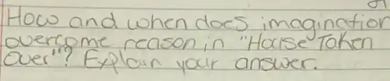 How and when does imagination overcome reason in "Hocise Taken over"? Explain your answer.