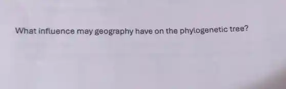 What influence may geography have on the phylogenetic tree?