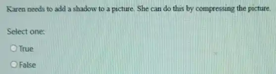 Karen needs to add a shadow to a picture. She can do this by compressing the picture.
Select one:
True
False