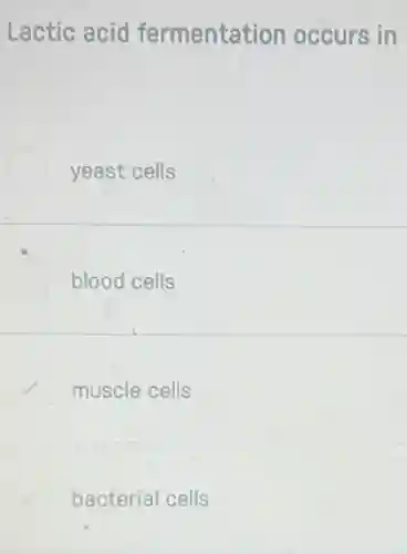 Lactic acid fermentation occurs in
yeast cells
blood cells
muscle cells
bacterial cells