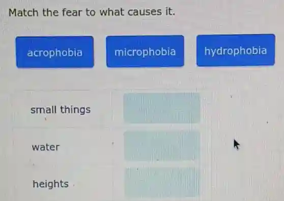 Match the fear to what causes it.
acrophobia
microphobia
hydrophobia
small things
square
water
square
heights
square
