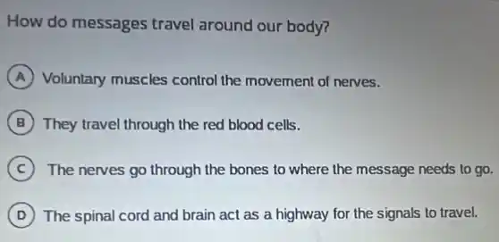 How do messages travel around our body?
A Voluntary muscles control the movement of nerves.
B They travel through the red blood cells.
C The nerves go through the bones to where the message needs to go.
D The spinal cord and brain act as a highway for the signals to travel.