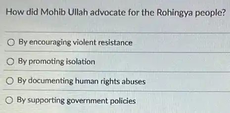 How did Mohib Ullah advocate for the Rohingya people?
By encouraging violent resistance
By promoting isolation
By documenting human rights abuses
By supporting government policies