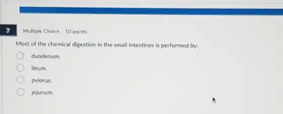 Multiple Choice 10 points
Most of the chemical digestion in the small intestines is performed by:
duodenum.
ileum.
pylorus.
jejunum.