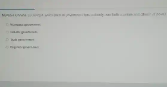 Multiple Choice. In Georgia which level of government has authority over both counties and cities? (1 point)
Municipal government
Federal government
State government
Regional government