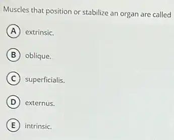 Muscles that position or stabilize an organ are called
A extrinsic.
B oblique.
C superficialis.
D externus.
E intrinsic.