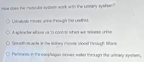 How does the muscular system work with the urinary system?
Urinalysis moves urine through the urethra
A sphincter allows us to control when we release urine
Smocth muscle in the kidney moves blood through filters
Peristalsis in the esophagus moves water through the urinary system.