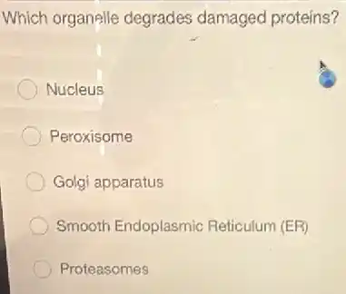 Which organelle degrades damaged proteins?
Nucleus
Peroxisome
Golgi apparatus
Smooth Endoplasmic Reticulum (ER)
Proteasomes