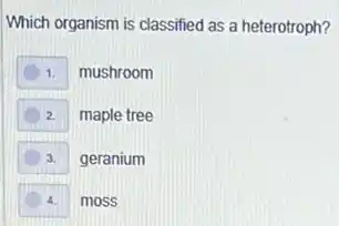 Which organism is classified as a heterotroph?
1. mushroom
2. maple tree
3. geranium
4. moss