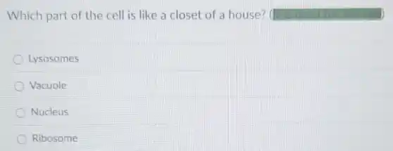 Which part of the cell is like a closet of a house?
Lysosomes
Vacuole
Nucleus
Ribosome