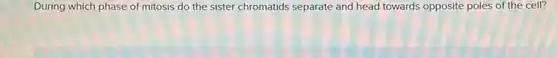 During which phase of mitosis do the sister chromatids separate and head towards opposite poles of the cell?