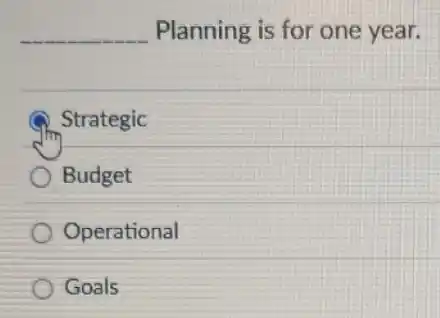 __ Planning is for one year.
Strategic
Budget
Operational
Goals
