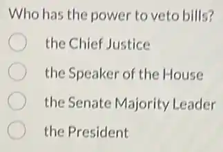 Who has the power to veto bills?
the Chief Justice
the Speaker of the House
the Senate Majority Leader
the President