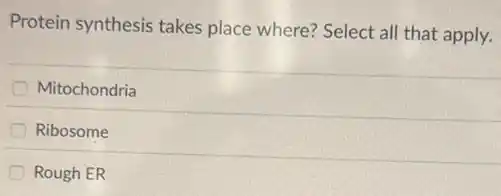 Protein synthesis takes place where? Select all that apply.
Mitochondria
Ribosome
Rough ER