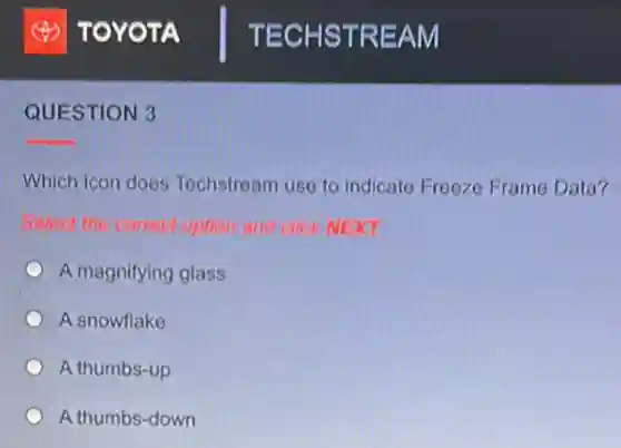 QUESTION 3
Which icon does Techstream use to indicate Freeze Frame Data?
Select the correct option and click NEXT
A magnifying glass
A snowflake
A thumbs-up
A thumbs-down