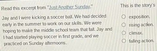 Read this excerpt from "Just Another Sunday."
Jay and I were kicking a soccer ball. We had decided
early in the summer to work on our skills. We were
hoping to make the middle school team that fall. Jay and
I had started playing soccer in first grade, and we
practiced on Sunday afternoons.
This is the story's
exposition.
rising action.
climax.
falling action.