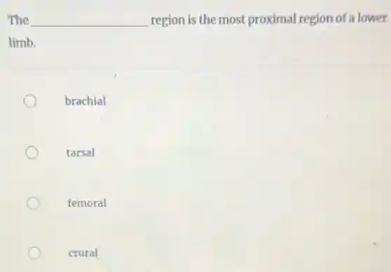 The __ region is the most proximal region of a lower
limb.
brachial
tarsal
femoral
crural