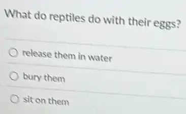 What do reptiles do with their eggs?
release them in water
bury them
sit on them