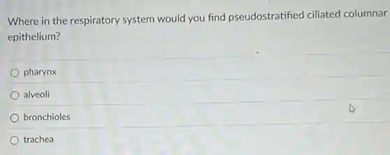 Where in the respiratory system would you find pseudostratified ciliated columnar
epithelium?
pharynx
alveoli
bronchioles
trachea