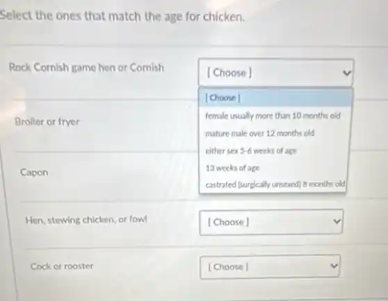 Select the ones that match the age for chicken.
Rock Cornish game hen or Cornish
[Choose]
[Choose]
female usually more than 10 months old
square  mature male over 12 months old
either sex 5-6 weeks of age
13 weeks of age
castrated (surpically unsexed) 8 months old
Broiler or fryer
Capon
Hen, stewing chicken, or fowl
square  v
Cock or rooster
square  v