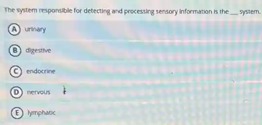 The system responsible for detecting and processing sensory Information is the __ system.
A urinary
B digestive
C endocrine
D nervous
E lymphatic