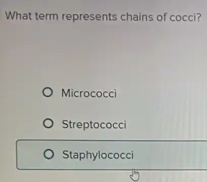 What term represents chains of cocci?
Micrococci
Streptococci
Staphylococci
