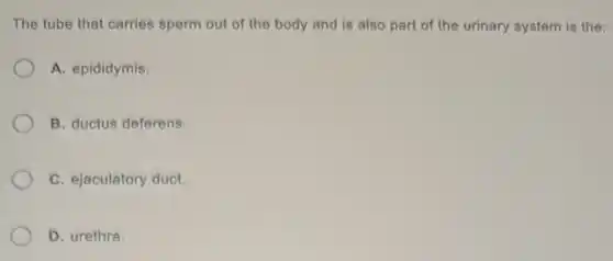 The tube that carries sperm out of the body and is also part of the urinary system is the:
A. epididymis.
B. ductus deferens.
C. ejaculatory duct.
D. urethra.