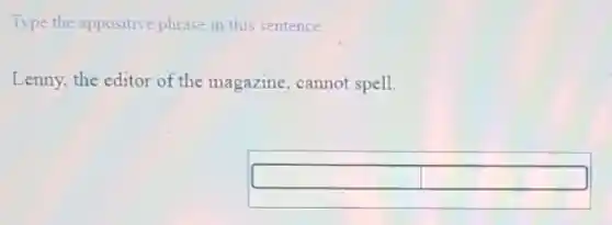 Type the appositive phrase in this sentence.
Lenny, the editor of the magazine, cannot spell.
square