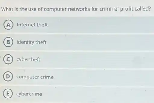What is the use of computer networks for criminal profit called?
A Internet theft
B identity theft
C cybertheft
D computer crime
E cybercrime
