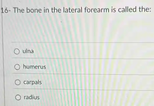 16- The bone in the lateral forearm is called the:
ulna
humerus
carpals
radius