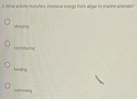 3. What activity transfers chemical energy from algae to marine animals?
sleeping
reproducing
feeding
swimming